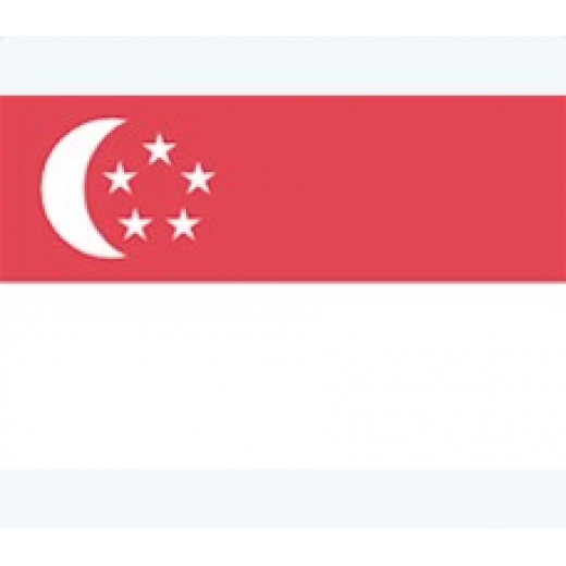 新加坡專利申請
